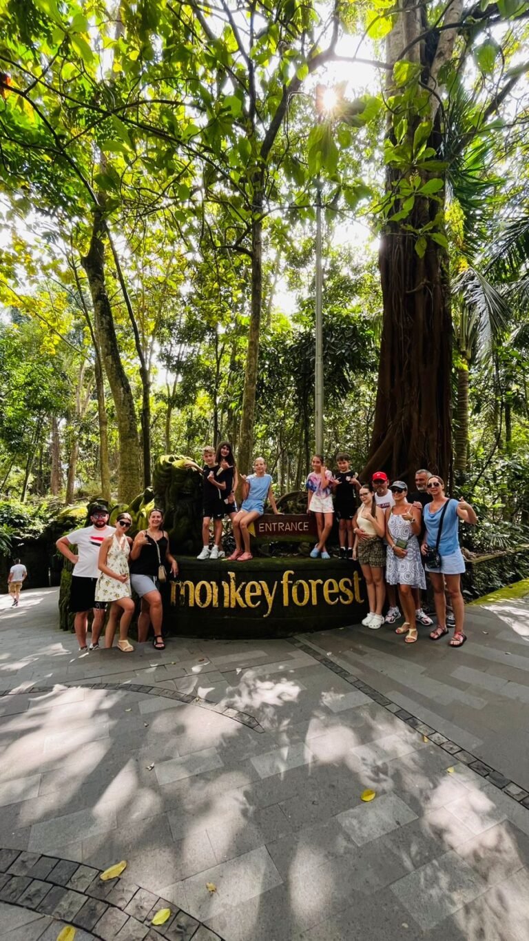 WhatsApp Image 2026-01-17 at 06.00.41 (1)