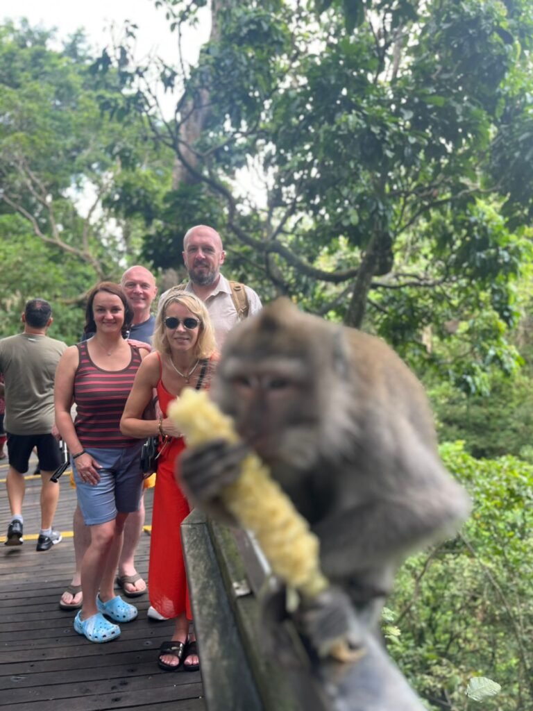 WhatsApp Image 2026-01-17 at 06.00.49