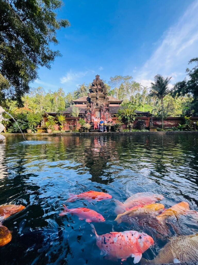 WhatsApp Image 2026-01-26 at 14.12.00