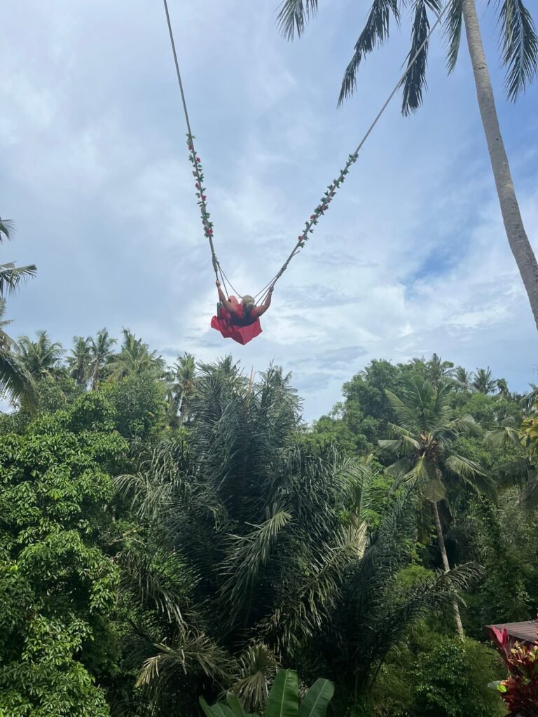 WhatsApp Image 2026-01-26 at 14.13.07 (1)