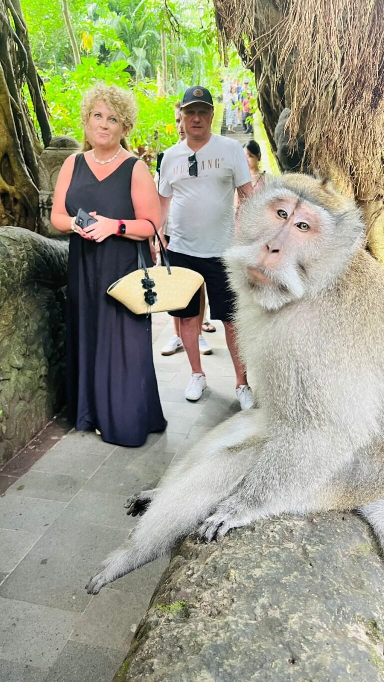 WhatsApp Image 2026-01-26 at 14.14.44