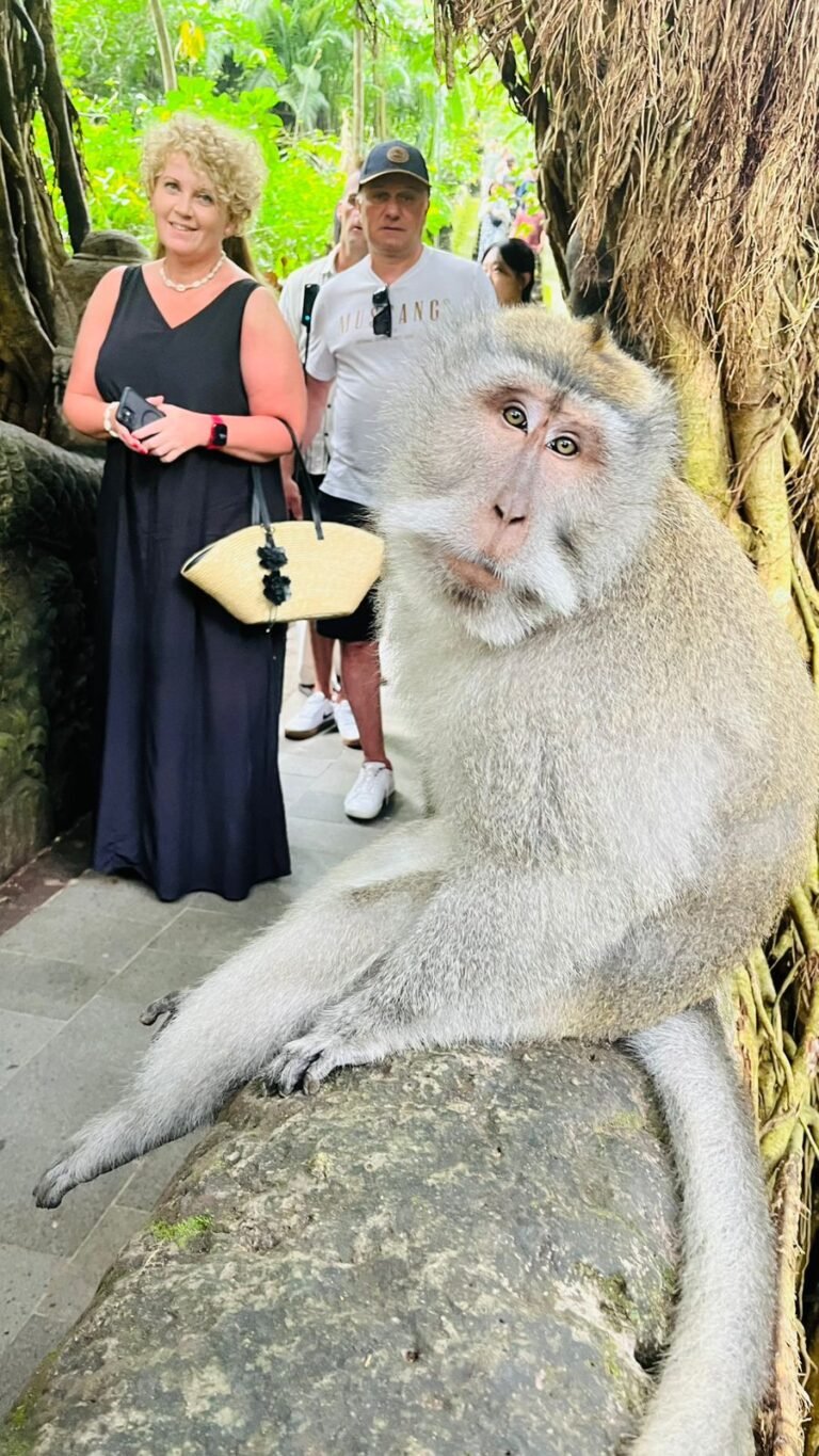 WhatsApp Image 2026-01-26 at 14.14.45 (1)