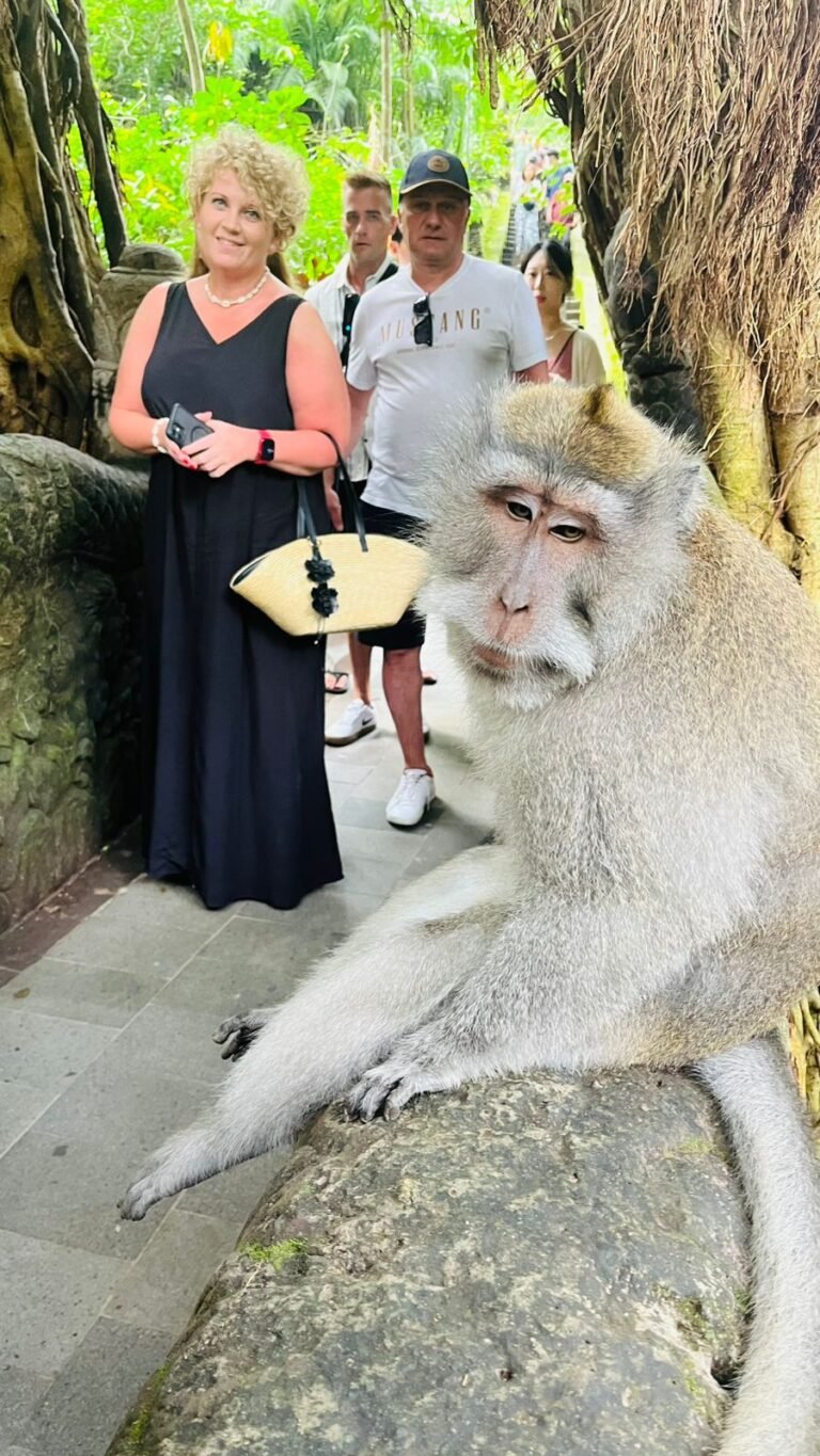 WhatsApp Image 2026-01-26 at 14.14.45