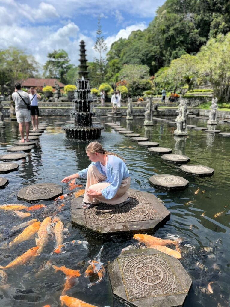 WhatsApp Image 2026-01-26 at 14.19.58 (1)