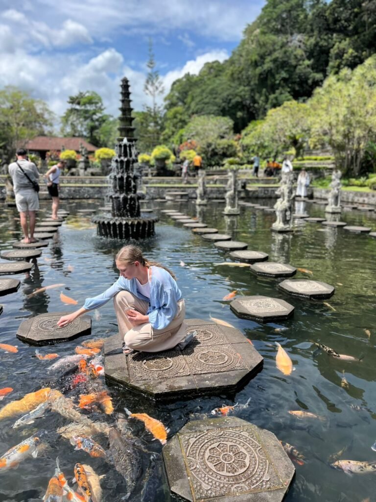 WhatsApp Image 2026-01-26 at 14.20.02