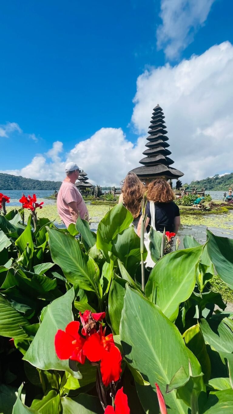 WhatsApp Image 2026-01-26 at 14.25.38