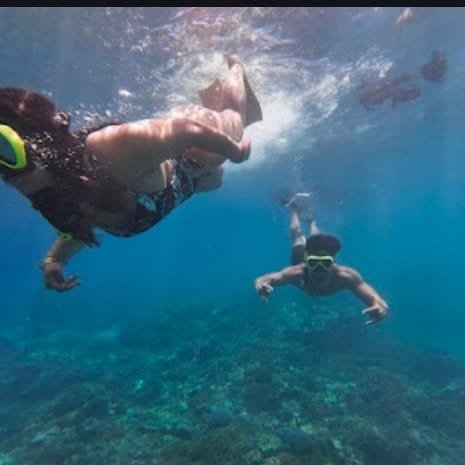 WhatsApp Image 2026-01-28 at 14.29.52