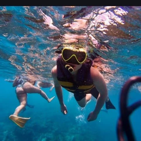 WhatsApp Image 2026-01-28 at 14.29.53 (1)